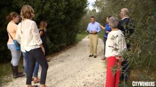 Florence Vineyard Tour with Wine Tasting & Authentic Tuscan Dinner