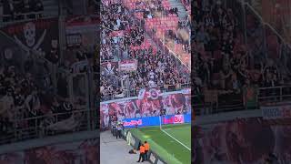 St. Pauli Fans machen dem Team Mut vor dem letzten Bundesligaspiel #stpauli #bundesliga #fußball