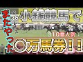【競馬実践】小銭で稼ぐ！全３６レース競馬　連続勝利なるかっ！？　＃競馬 #JRA #３連単