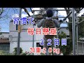毎日懸垂３２日目