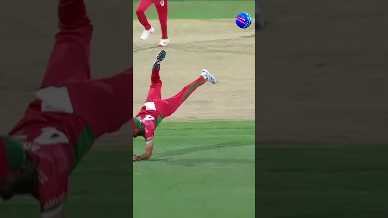 Top 5 Jaw-Dropping Catches🏏🔥