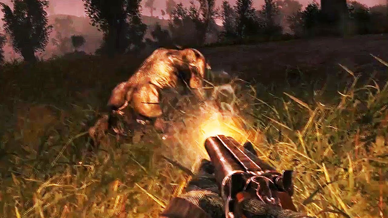 An Encounter with Approx 30 - 50 Feral Hogs