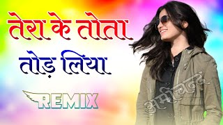 तेरा के तोता तोड़ लिया | Dj Remix | New Haryanvi Viral Song | Tota Tod Liya | 2026