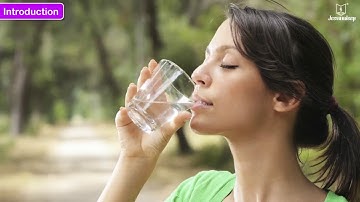 Water | Science for Kids | Grade 3 | Periwinkle