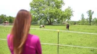 Miller Team Presents 7942 West Allen Rd. Fowlerville, MI 48836 Property Video