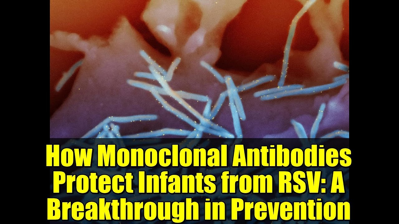How Monoclonal Antibodies Protect Infants from RSV: A Breakthrough in Prevention
