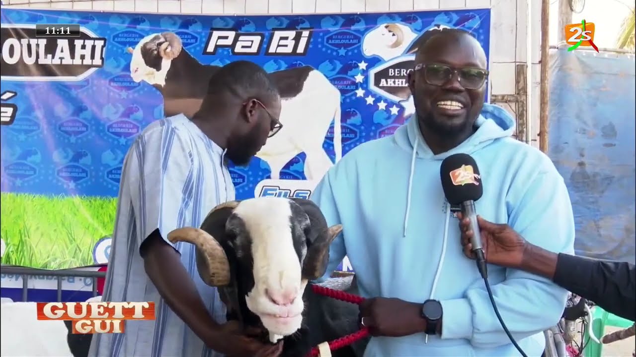 Guett Gui avec l'Association pour le Développement de l'élevage à Bargny | Par Amadou DIALLO