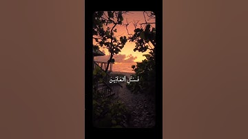 اكتب شيء تؤجر عليه #فلسطين #غزة #صلّ_على_النبي #راحة_نفسية #سورة_المؤمنون #اسلام_صبحي #القرآن_الكريم
