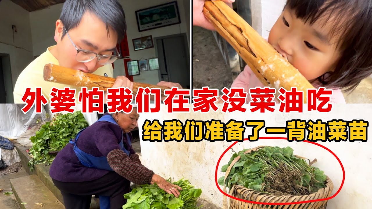 外婆怕我们在家没有菜油吃，竟然给我们准备了一大背油菜苗，外婆觉得还不多，不知道要种到啥时候，有一种不够叫外婆觉得不够