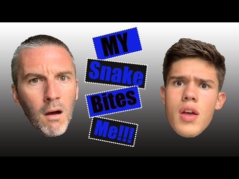 How To Get Your Ball Python To Stop Biting!!!