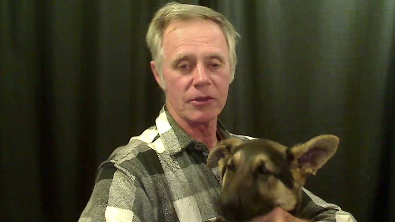 Prairie Acres Kennels YouTube