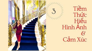 Ngày 3: Cách Viết Bức Tranh Tài Chính Đúng