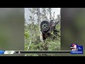‘It was a miracle’: Survivors of Butterfield Canyon rollover recount rescue, mountain lion encounter