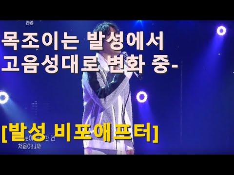 목조이는 발성에서 고음성대로 가는중. [보컬트레이닝 전후 / 수강생 비포애프터] [가슴아파도 노래적용]
