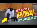 誰でもできる簡単な伏せの教え方 犬ワンちゃんのしつけトレーニング