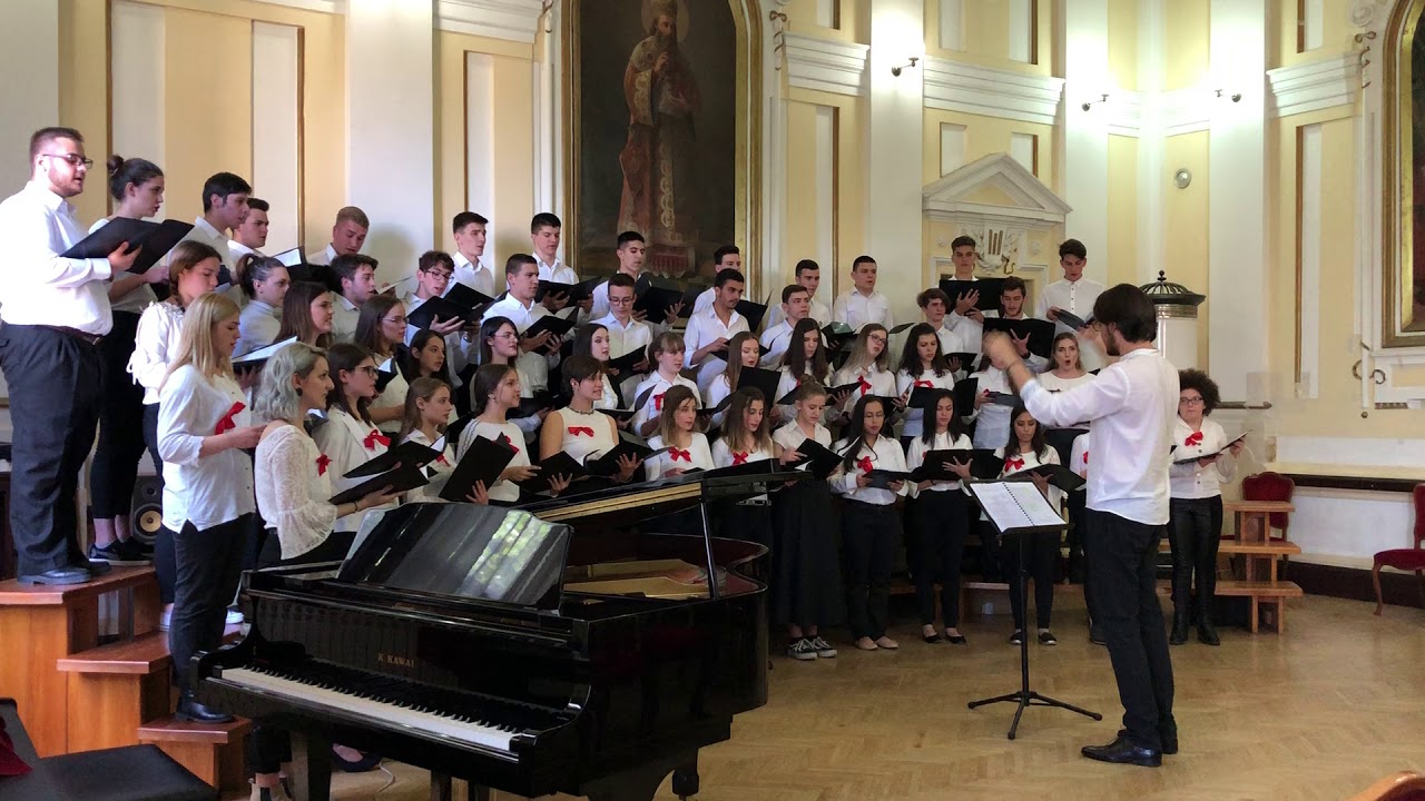 Aleksandar Vujić - Govorna fuga