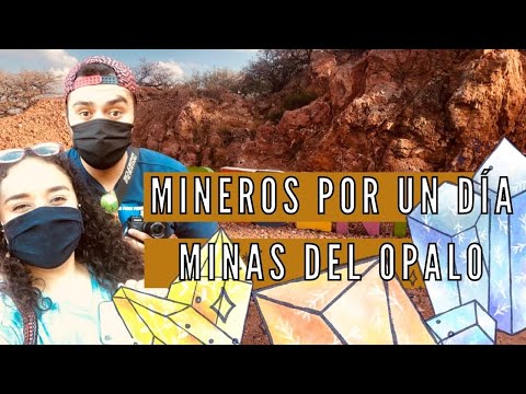 MINEROS POR UN