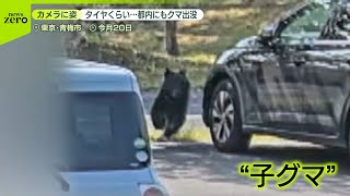 【クマが各地で出没】都内でも…  山形では住宅街で中学生が追いかけられる