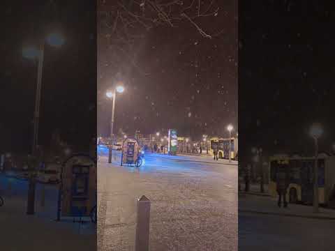 يوما ما سوف تصبح هذا الايام ذكرى لا تنسا