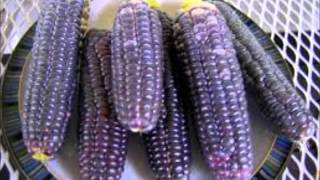 Foods That Are Naturally Blue What Food Is Blue Naturally