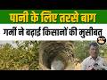 Jalna में भीषण गर्मी का कहर, सूखने लगे फलों के बागान और बढ़ा जलसंकट #maharashtra #watercrisis