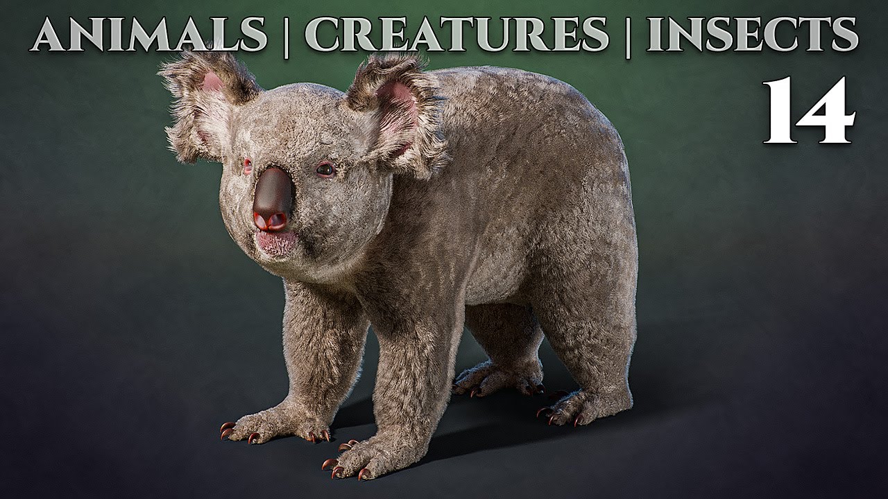 Animals - Creatures - Insects  / Koala 14 - Blender 2.82