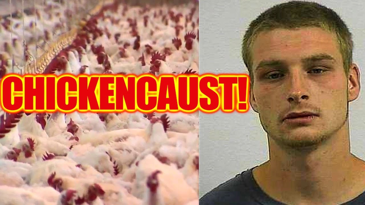 70K Chickens Killed by Drunk Guy in Maryland YouTube