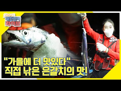 [新<strong>자산어보</strong> 지금이 딱] 가을에 더 맛있다는 밤바다에서 잡은 은갈치의 맛! KBS 210914 방송