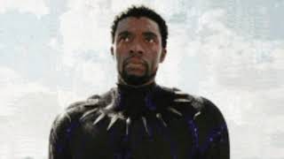 Black Panther Transformation.