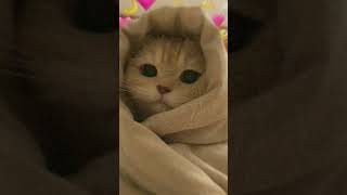 Ms. Bella Ki New Video Subscribe Me