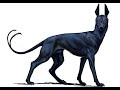 Salawa The Beast Of Set 