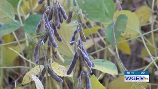 Famous Tri-States could see increased risk of field fires Net Worth