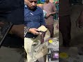 Roti making machine | punjab engineering Indore 9098587992