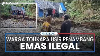 Viral Warga Adat Tolikara Papua Usir Penambang Emas Ilegal