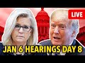 JAN 6 INSURRECTION HEARINGS LIVE | DAY 8