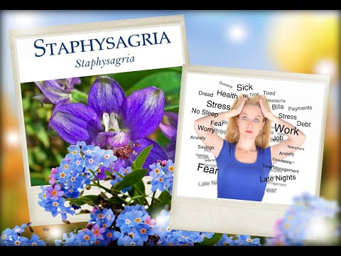 Understand the personality types of Staphysagria   سٹیفی سیگریا  کی شخصیت کی اقسام کو سمجھیں