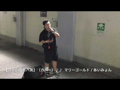 【ゴリ山田カバ男】【カバー】マリーゴールド / あいみょん【東ラク･路上】