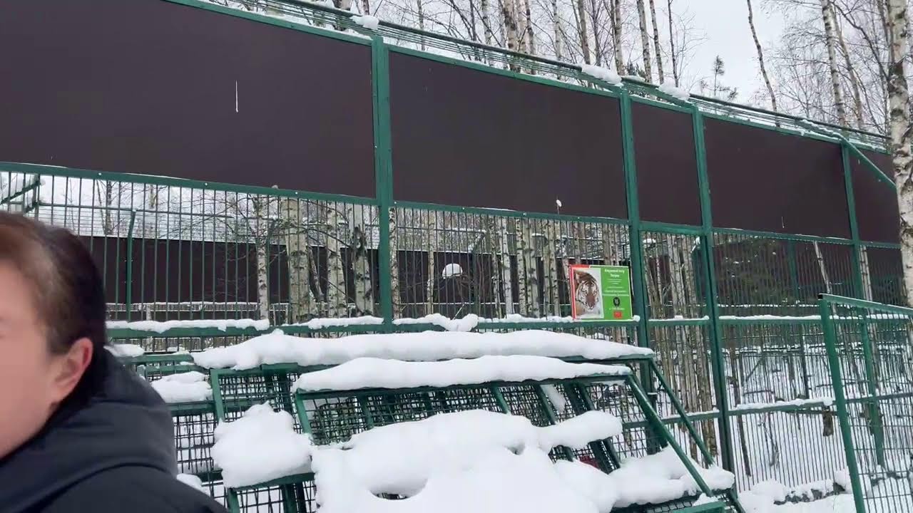 Здравствуйте🔥