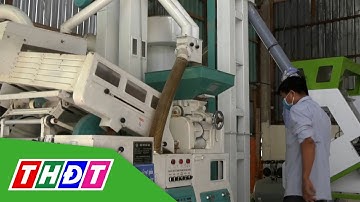 Đồng hành với công nghiệp nông thôn | Kinh tế Công thương | THDT