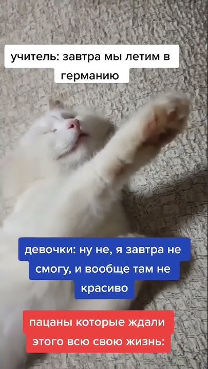 Жестко кинул зигу - YouTube
