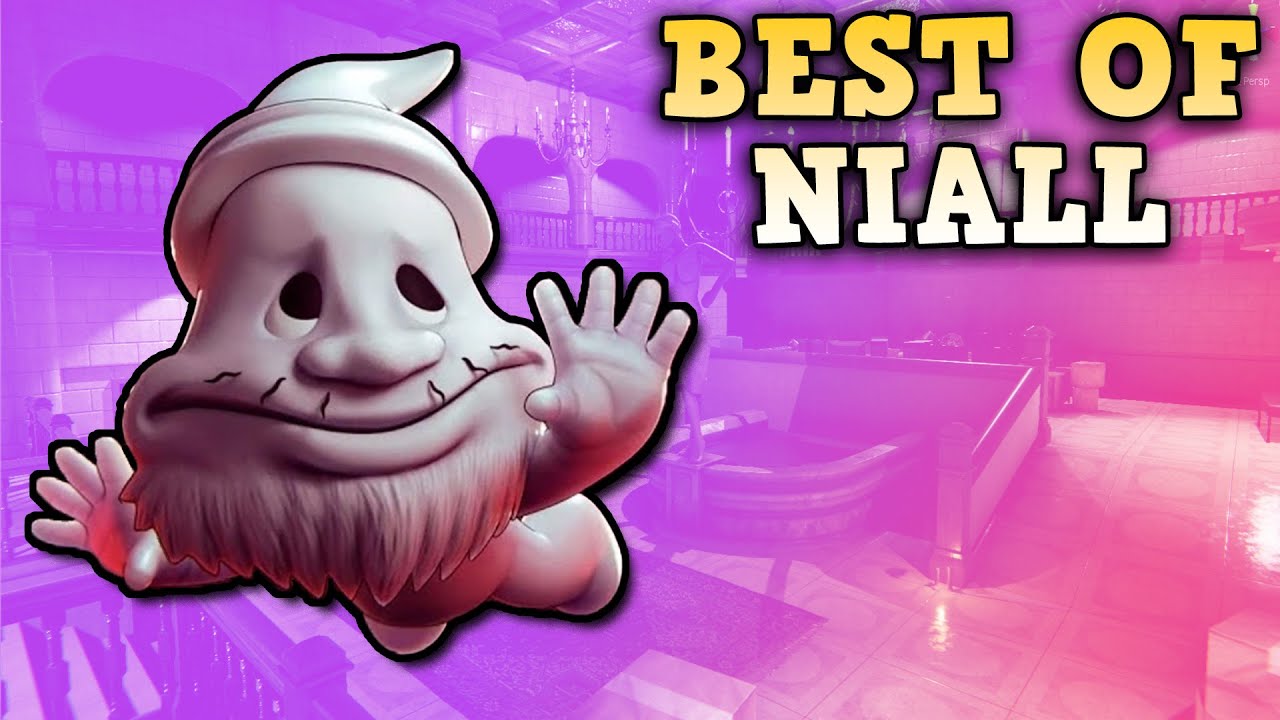 BEST OF NIALL (Oneyplays compilation)