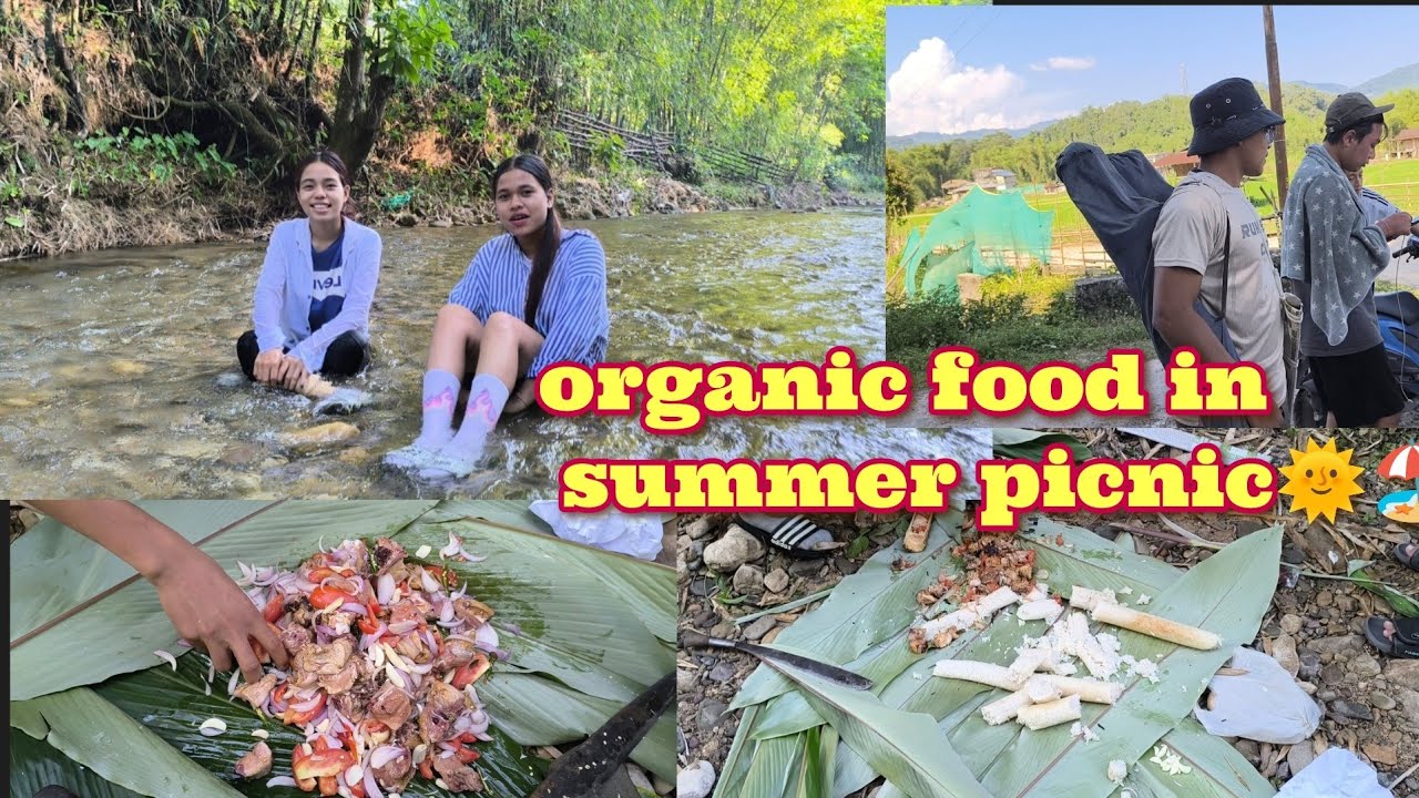 Summer picnic with my friends !! Enjoyed organic foods! #northeastindia #foods #picnic #party #vlogs