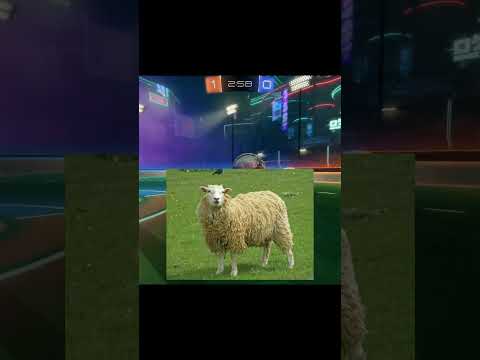 #foryou #rocketleague #gaming #funny #meme #shorts #rl #trending #viral #memes