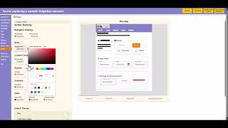 Custom Theming for Volunteer Features