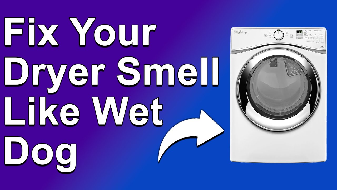 How To Fix Your Dryer Smell Like Wet Dog (How To Get Rid Of Dog Smell In Your Dryer)