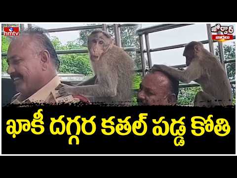 Jordar Varthalu : ఖాకీ దగ్గర కతల్ పడ్డ కోతి |  Monkey’s Funny Antics With Police..! | hmtv - HMTVNEWS