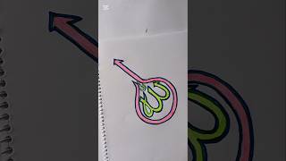 Arabic Calligraphy Allah