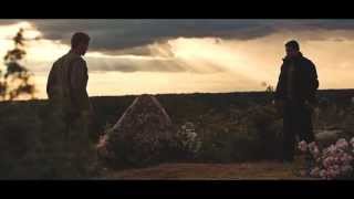 Sunset Fight - Canon 5d mark III RAW video - magic lantern test