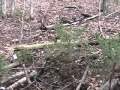 Half Earth Shelter- part 2