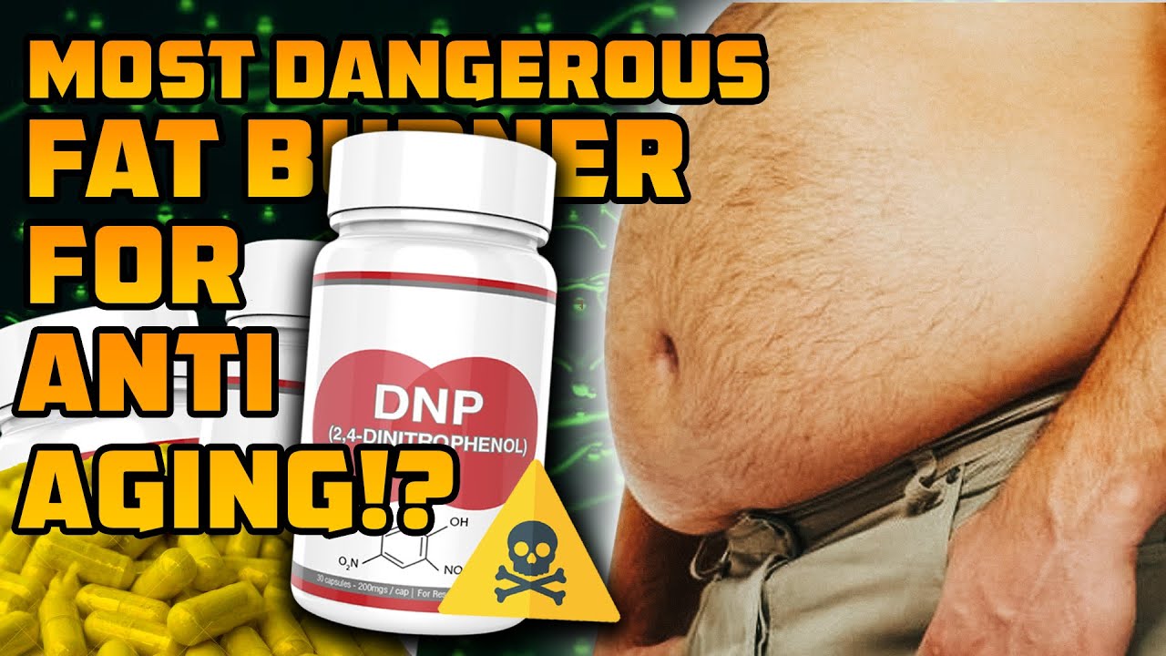 dnp fat burner review